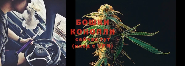 гашик Белокуриха