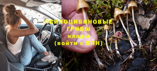мяу мяу мука Беломорск