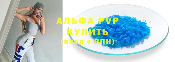 гашик Белокуриха