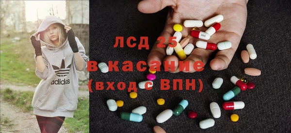 гашик Белокуриха