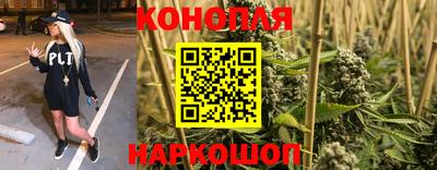 тгк Аргун