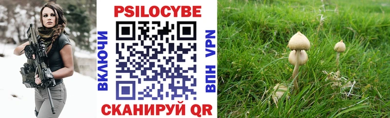 Галлюциногенные грибы ЛСД  Бор 