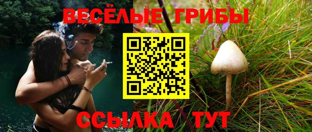 Псилоцибиновые грибы Magic Shrooms  Галлюциногенные грибы Cubensis  Бор  Вход с VPN 