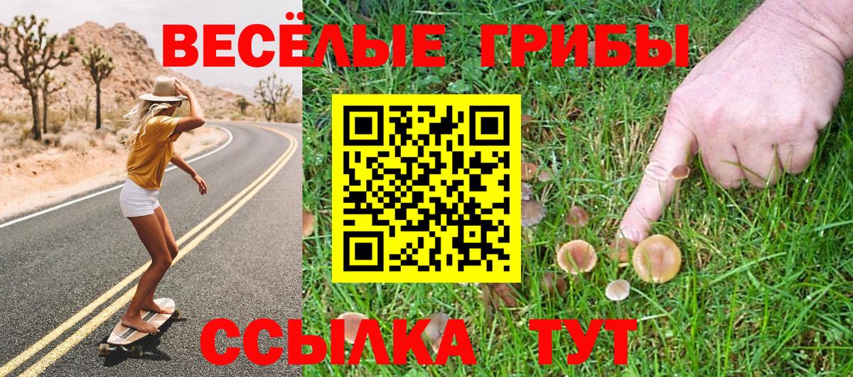 Псилоцибиновые грибы GOLDEN TEACHER Бор