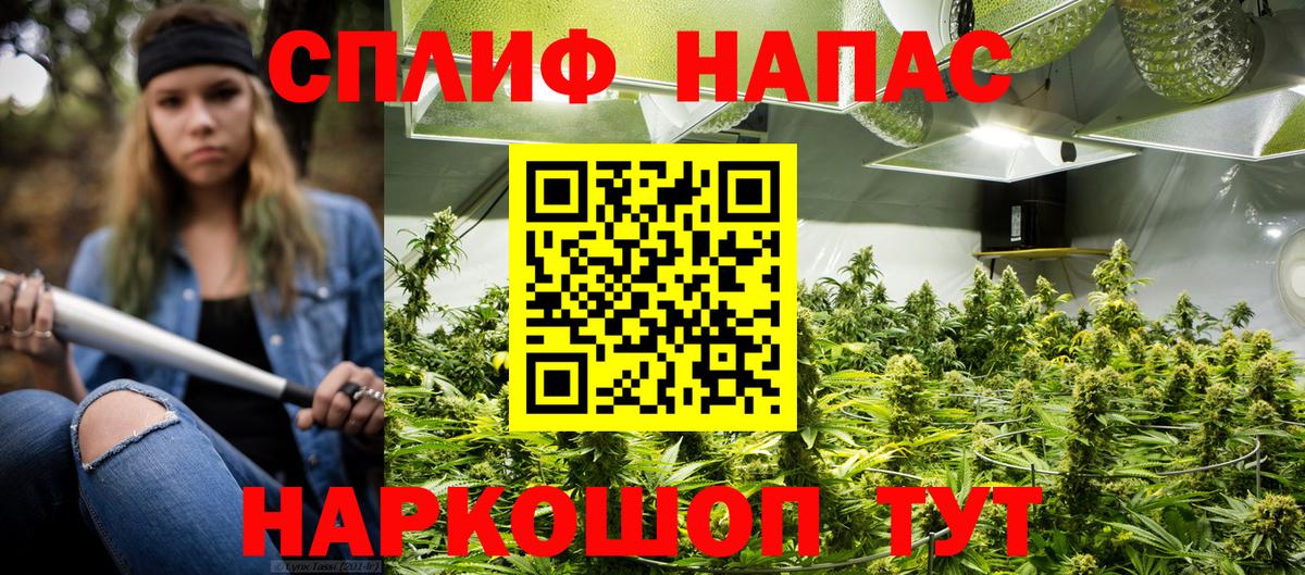 Канабис планчик  Бошки Шишки ГИДРОПОН  Бошки марихуана AK-47  Вход с VPN  Бор  Канабис Amnesia 